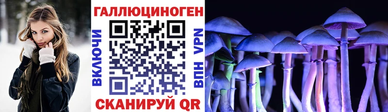 Купить  Холмск  Галлюциногенные грибы Magic Shrooms 