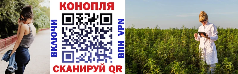 Купить закладки  Холмск  Каннабис Amnesia 